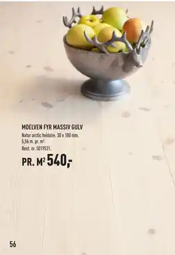 MOELVEN FYR MASSIV GULV
