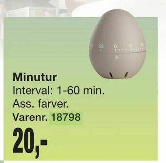 Minutur