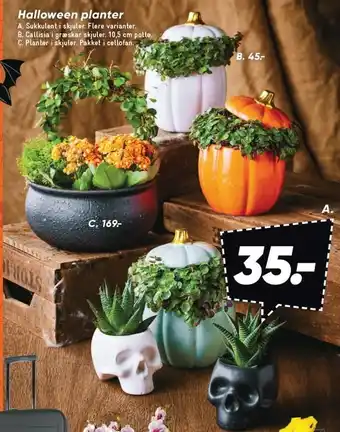 Bilka Halloween planter tilbud