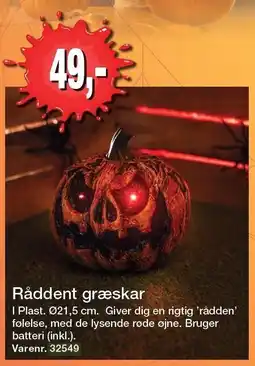 Harald Nyborg Råddent græskar tilbud