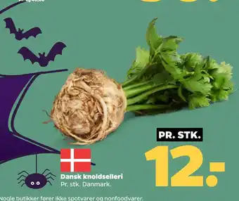 Netto Dansk knoldselleri tilbud