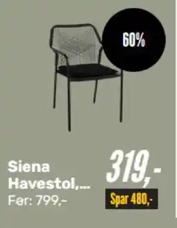 Siena Havestol