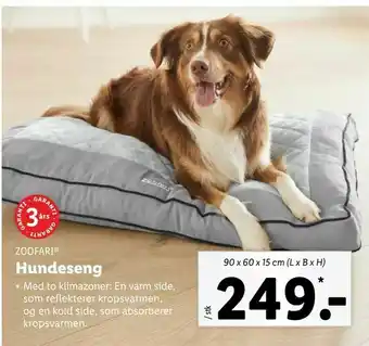 Hundeseng