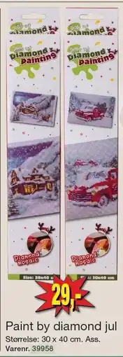 Harald Nyborg Paint by diamond jul tilbud