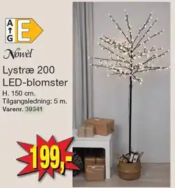 Harald Nyborg Lystræ 200 LED-blomster tilbud