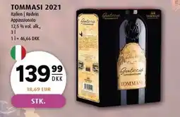 Scandinavian Park TOMMASI 2021 3 l tilbud
