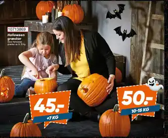 Bilka Halloween græskar tilbud