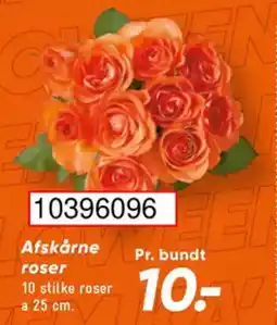 Bilka Afskårne roser tilbud