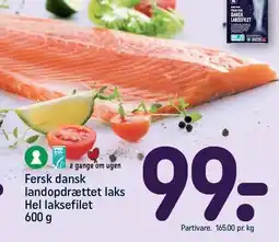 REMA 1000 Fersk dansk landopdrættet laks tilbud