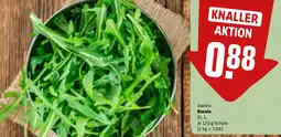 REWE DE Rucola tilbud
