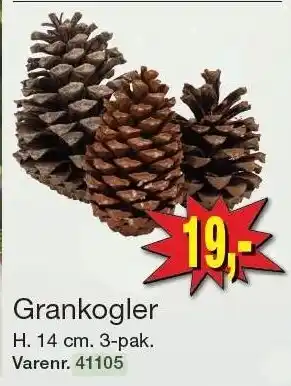 Harald Nyborg Grankogler tilbud