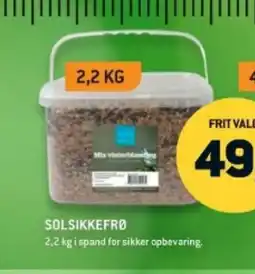 XL-BYG Solsikkefro tilbud