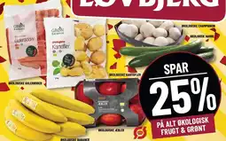 Løvbjerg SPAR 25% PÅ ALT ØKOLOGISK FRUGT & GRØNT tilbud