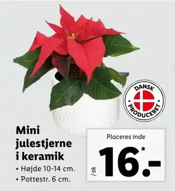Mini julestjerne i keramik
