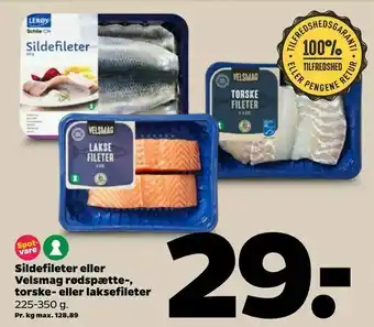 Netto Sildefileter eller Velsmag rødspætte-, torske- eller laksefileter tilbud
