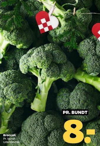 Netto Broccoli tilbud