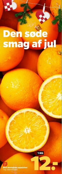 Netto ØGO økologiske appelsiner tilbud