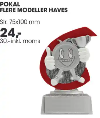 Pokal Flere Modeller Haves