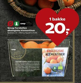 Kvickly Smag Forskellen økologiske klementiner tilbud