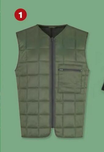 Vest