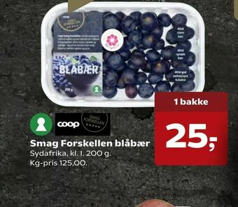 Kvickly Smag Forskellen blåbær tilbud