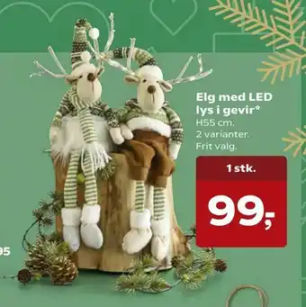 Kvickly Elg med LED lys i gevir tilbud