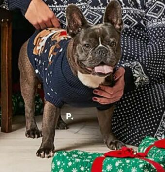 Jumper til hund