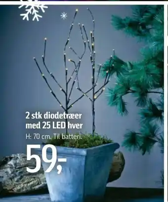 Føtex 2 stk diodetræer med 25 LED hver tilbud
