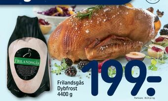 REMA 1000 Frilandsgås Dybfrost tilbud