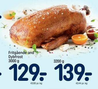 REMA 1000 Fritgående and Dybfrost tilbud