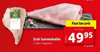Irsk lammekølle