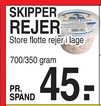 Skipper rejer