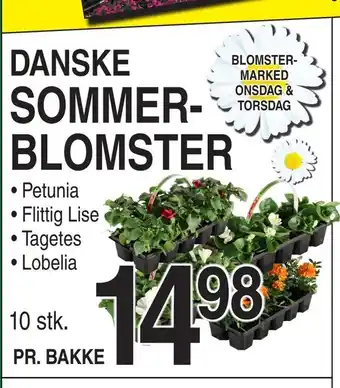 ABC Lavpris Danske sommerblomster tilbud