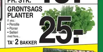 ABC Lavpris Grøntsags planter tilbud