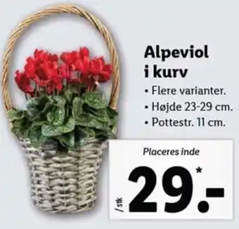 Lidl Alpeviol i Kurv tilbud