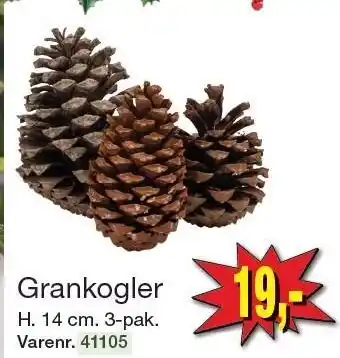 Harald Nyborg Grankogler tilbud