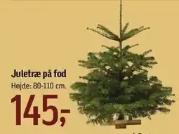 Føtex Juletræ på fod tilbud