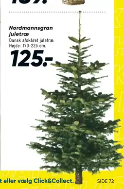 Bilka Nordmannsgran juletræ tilbud