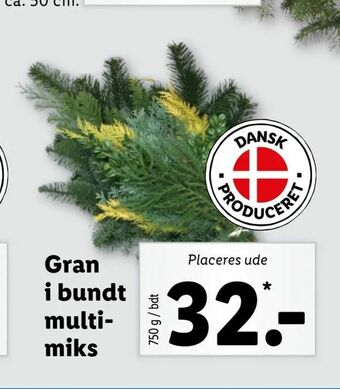 Gran i bundt multi- miks