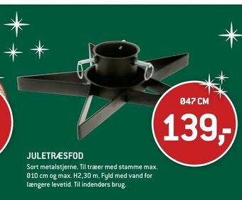 JULETRÆSFOD