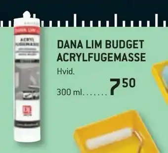 Dana lim budget acrylfugemasse