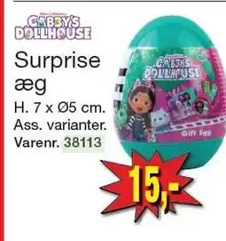 Surprise æg