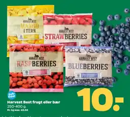Netto HARVEST BEST frugt eller bær tilbud