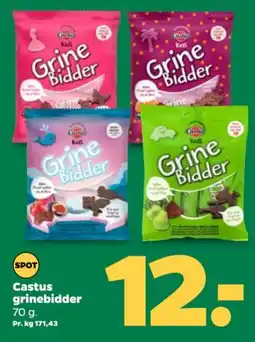 CASTUS grinebidder