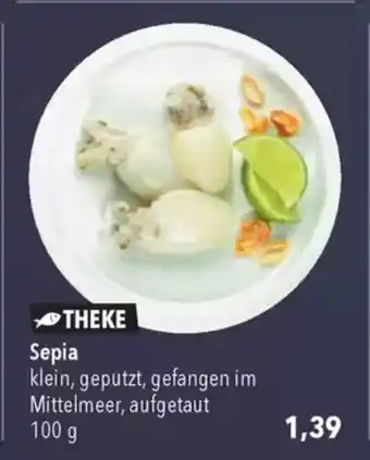 Citti THEKE Sepia tilbud