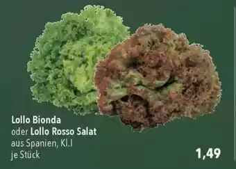 Citti Lollo Bionda oder Lollo Rosso Salat tilbud