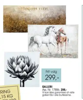 Galleri