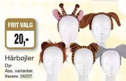 Hårbøjler