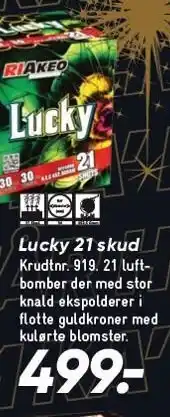 Bilka RIAKEO FIREWORKS Lucky 21 skud tilbud