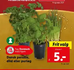 Lidl Dansk persille, dild eller purløg tilbud